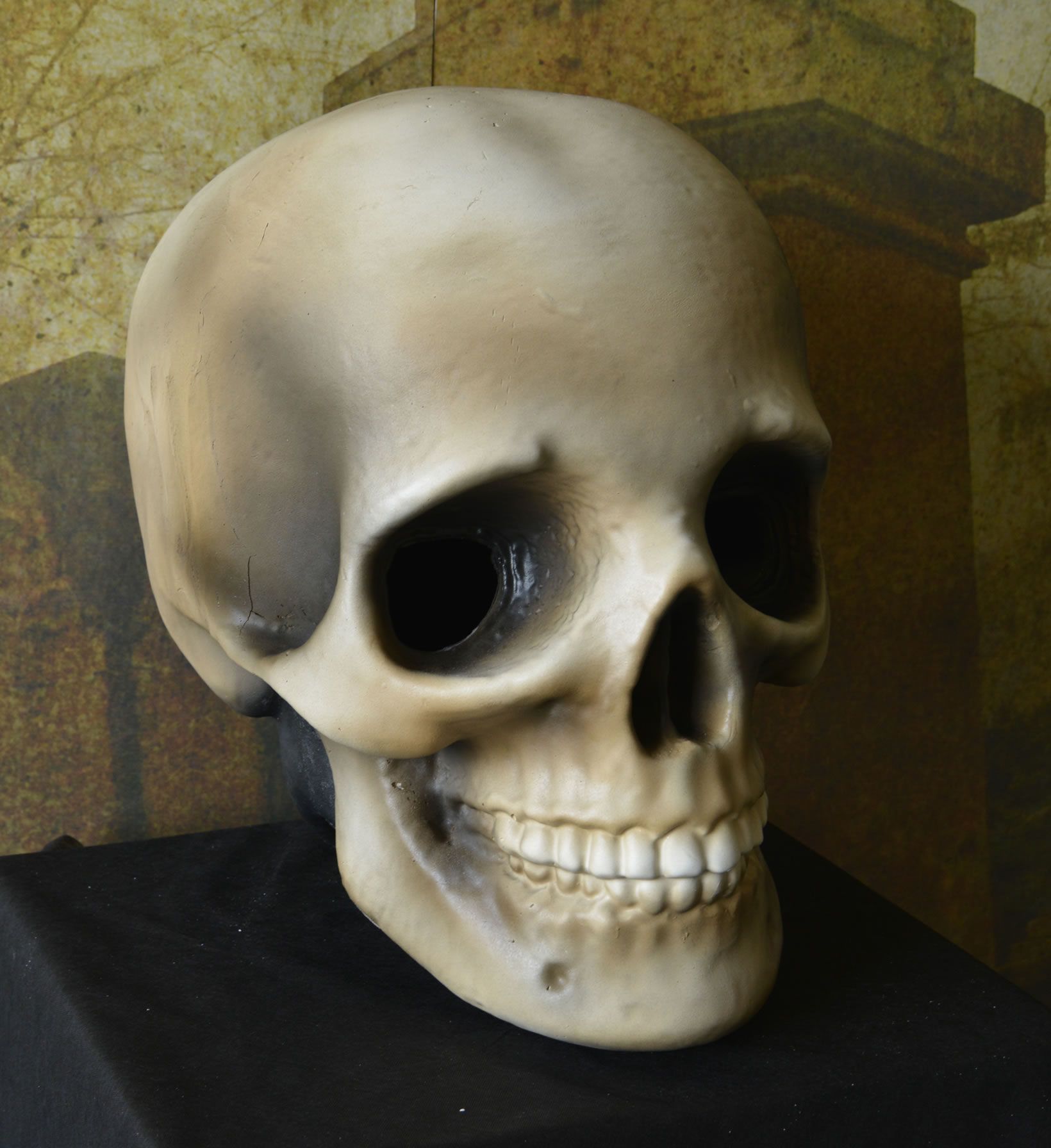 Skull Helmet Costume Prop Halloween Dino Rentos Studios, INC.
